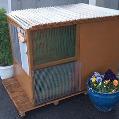 鶏小屋