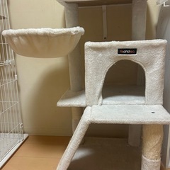 キャットタワー
