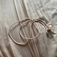 iPhone充電器