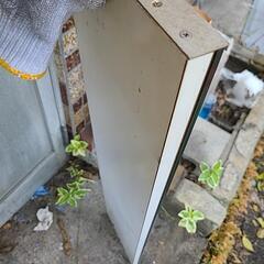 縦長鏡の画像