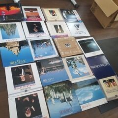 LD２０枚