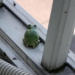 男女問わずお話しませんかー？