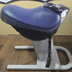 乗馬フィットネス機器 ジョーバ EU6441の画像