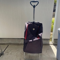 お買い物キャリーの画像