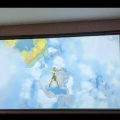 【決まりました】110インチスクリーン
