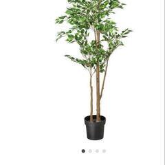 イケア　人工観葉植物　ベンジャミン　フェイクグリーン