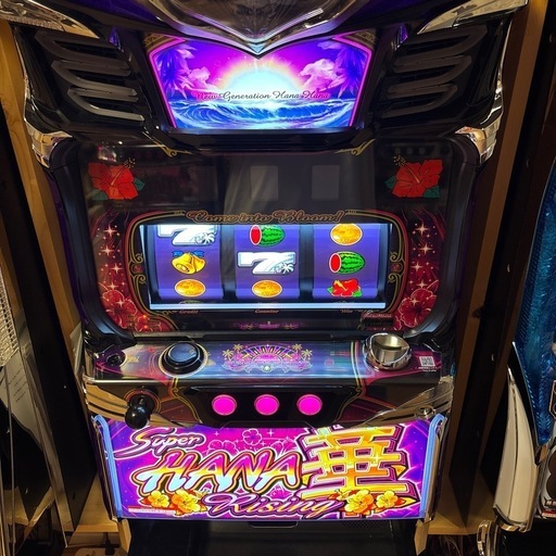 パチスロ！ハナハナライジング-30 パチスロ！スーパーハナハナライジング-30