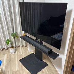 LG有機EL55インチ OLED55C8PJAとWALL TV ...