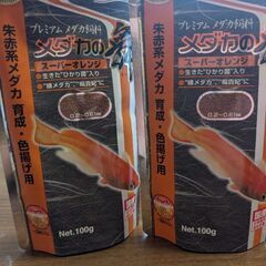早めの取引限定の方のみ！Hikari メダカの餌