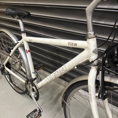ルイガノ　TR3 の画像