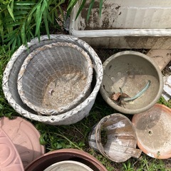 引取限定無料　植木鉢いろいろの画像