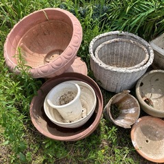 引取限定無料　植木鉢いろいろの画像