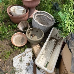引取限定無料　植木鉢いろいろの画像