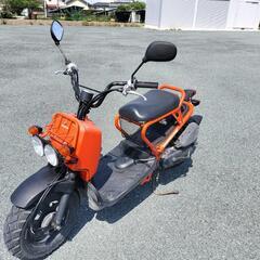 ホンダ　ズーマー　50 好調　程度良好の画像
