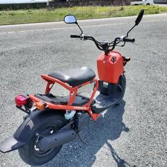 ホンダ　ズーマー　50 好調　程度良好の画像