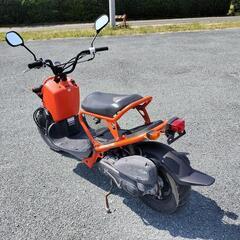 ホンダ　ズーマー　50 好調　程度良好の画像