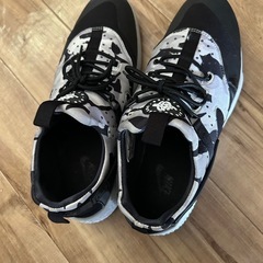 NIKE air ハラチ 29cm