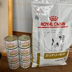 ロイヤルカナン