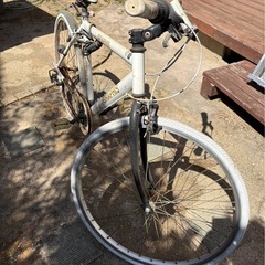 自転車　大人用