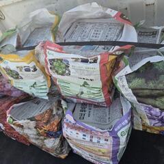 新聞紙　大量　1