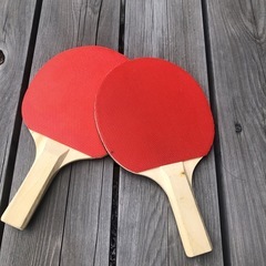 卓球ラケット　おもちゃの画像