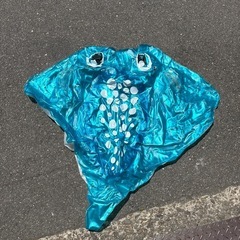 エイの浮輪