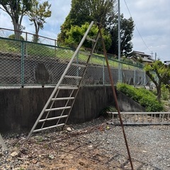 植木用三脚はしご梯子、アルミ、カンサカGMA-300の画像