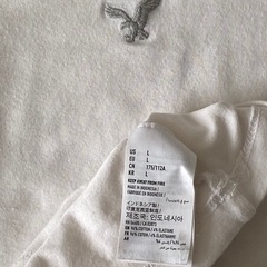 メンズ半袖Tシャツの画像