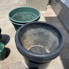鉢の画像