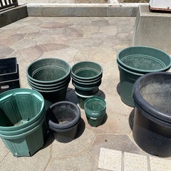 鉢