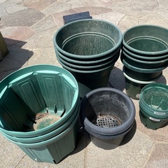 鉢の画像