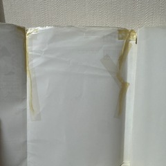 金子千尋の変化球バイブルの画像