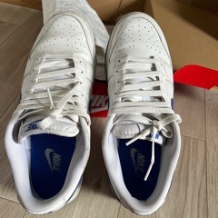 Nike Jordan 靴