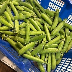グリーンピース1キロ