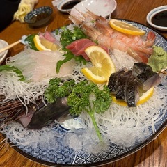 三重県でなるべく名古屋寄りで夜イカ釣り、青物、ヒラメなど