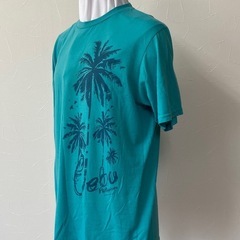 メンズ半袖Tシャツの画像