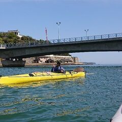 シーカヤック（２艇まとめて）パドル付き〔引取り限定〕
