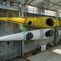 シーカヤック（２艇まとめて）パドル付き〔引取り限定〕の画像