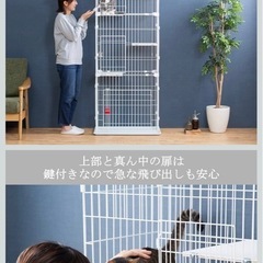 猫４段ゲージ（アイリスオーヤマ製）