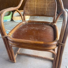 猫用にどうぞの画像