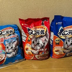 猫のエサ