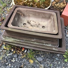 盆栽用鉢の画像