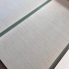 畳　12枚の画像