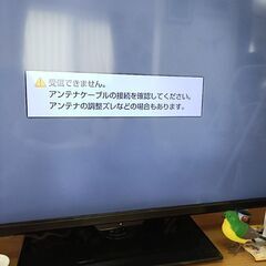 テレビが映らない