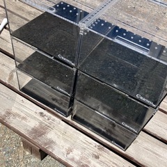 クリアネス　レプタイル　爬虫類ケースの画像