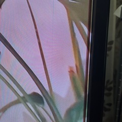 テレビ、DVDデッキの画像