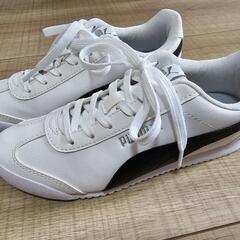 【PUMA】美品スニーカー 22.5cmの画像