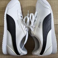 【PUMA】美品スニーカー 22.5cmの画像