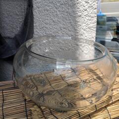 ガラス水槽
