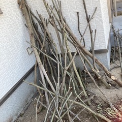 木材（皮剥きしたものも購入される場合は合わせて¥800）
